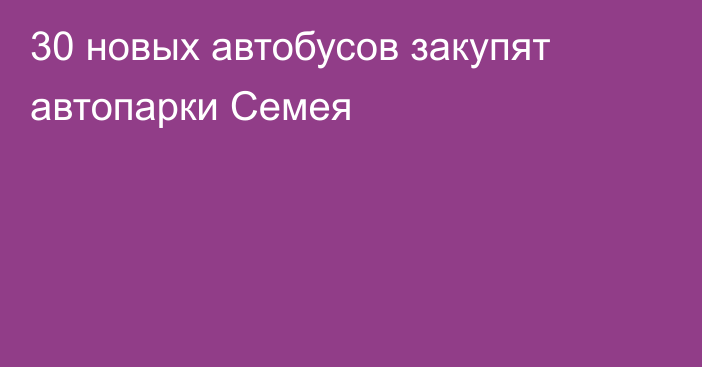 30 новых автобусов закупят автопарки Семея