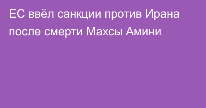 ЕС ввёл санкции против Ирана после смерти Махсы Амини