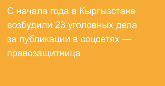 С начала года в Кыргызстане возбудили 23 уголовных дела за публикации в соцсетях — правозащитница