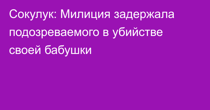 Сокулук: Милиция задержала подозреваемого в убийстве своей бабушки