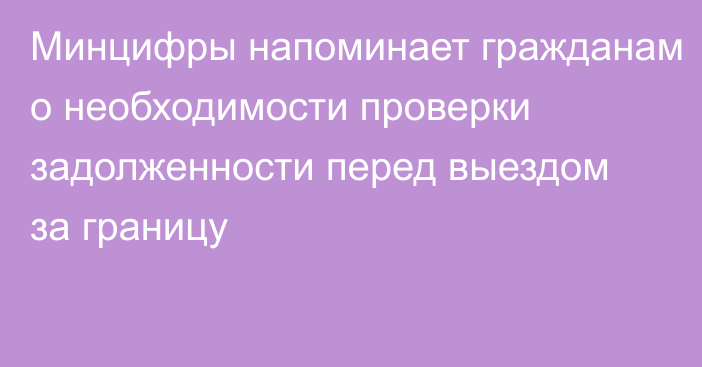 Минцифры напоминает гражданам о необходимости проверки задолженности перед выездом за границу