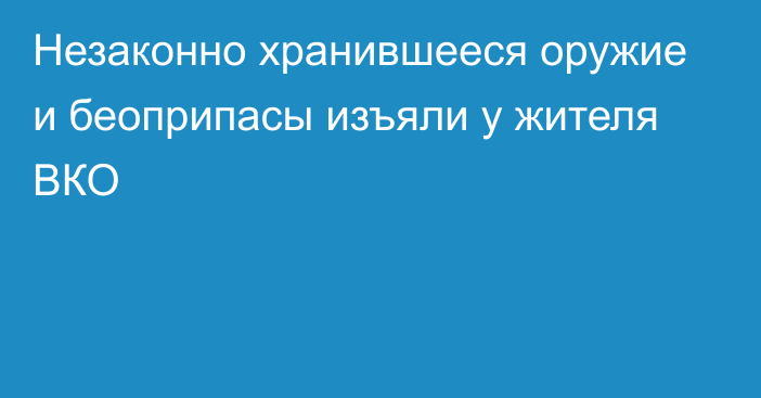 Незаконно хранившееся оружие и беоприпасы изъяли у жителя ВКО