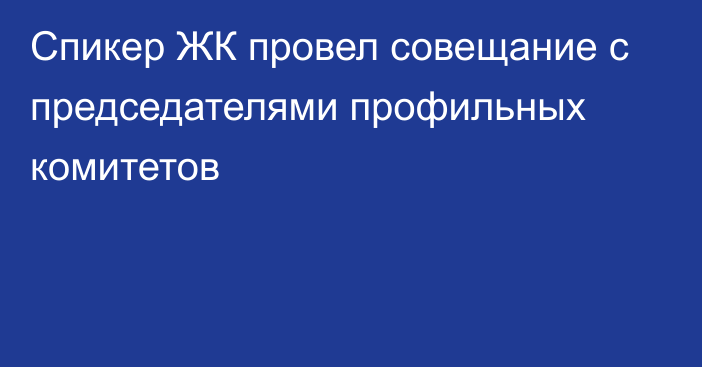 Спикер ЖК провел совещание с председателями профильных комитетов