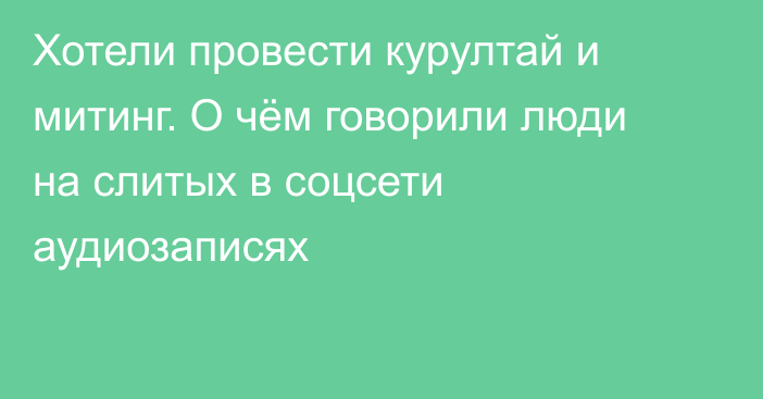 Хотели провести курултай и митинг. О чём говорили люди на слитых в соцсети аудиозаписях