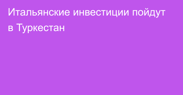 Итальянские инвестиции пойдут в Туркестан