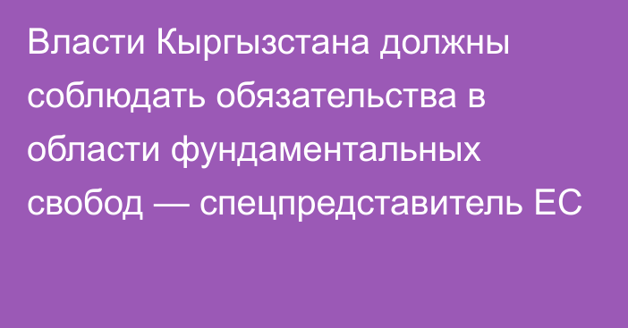 Власти Кыргызстана должны соблюдать обязательства в области фундаментальных свобод — спецпредставитель ЕС