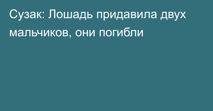 Сузак: Лошадь придавила двух мальчиков, они погибли