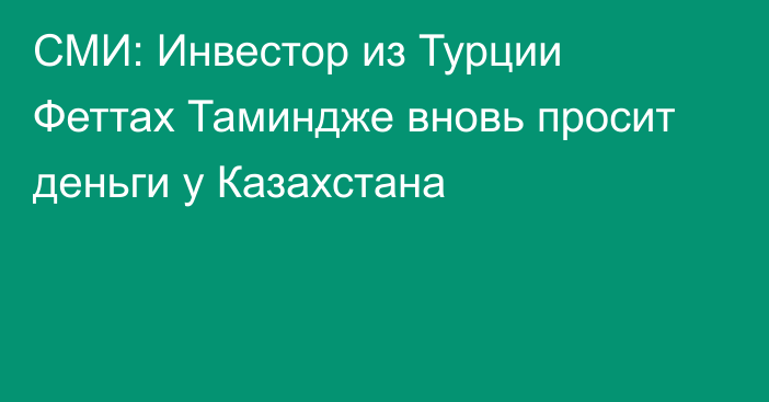 СМИ: Инвестор из Турции Феттах Таминдже вновь просит деньги у Казахстана