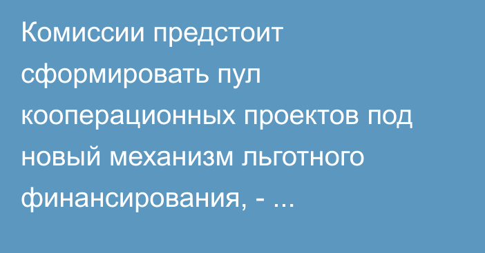 Комиссии предстоит сформировать пул кооперационных проектов под новый механизм льготного финансирования, - представитель ЕЭК И.Малкина