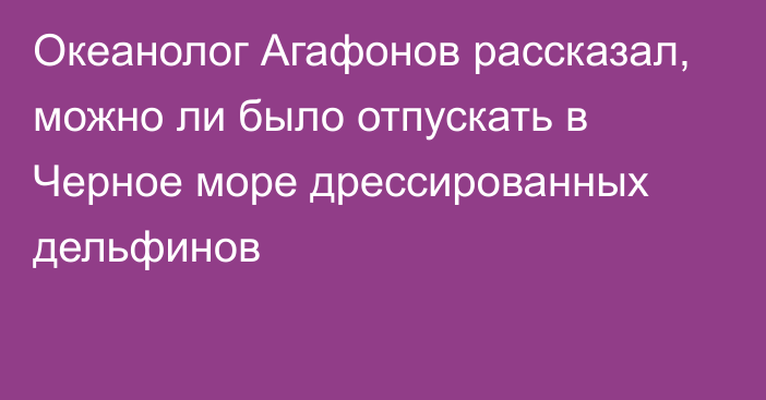 Океанолог Агафонов рассказал, можно ли было отпускать в Черное море дрессированных дельфинов