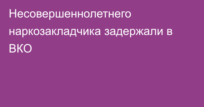 Несовершеннолетнего наркозакладчика задержали в ВКО