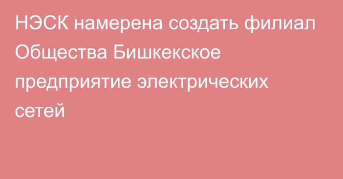 НЭСК намерена создать филиал Общества Бишкекское предприятие электрических сетей