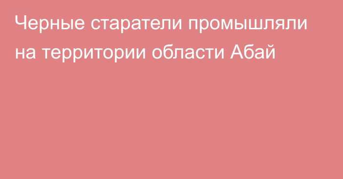 Черные старатели промышляли на территории области Абай