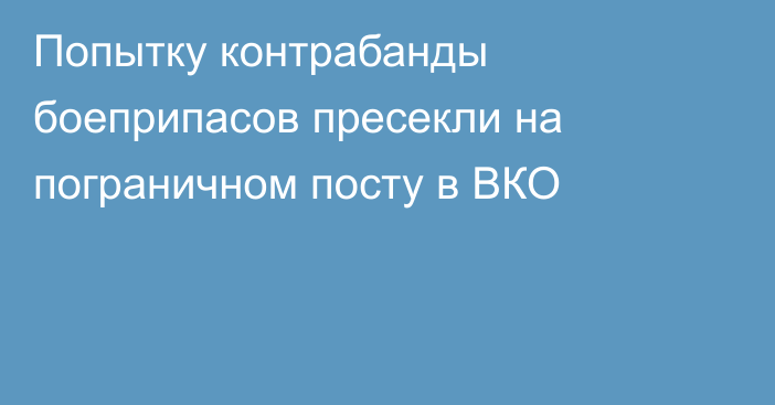 Попытку контрабанды боеприпасов пресекли на пограничном посту в ВКО