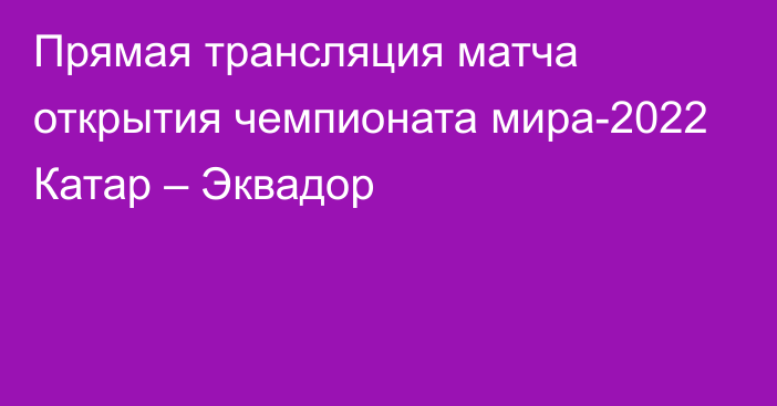 Прямая трансляция матча открытия чемпионата мира-2022 Катар – Эквадор