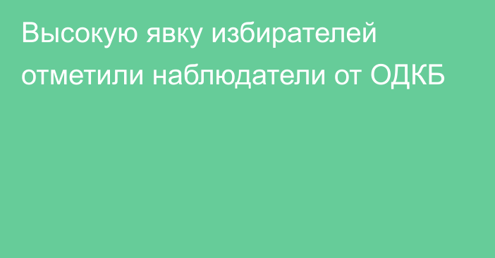 Высокую явку избирателей отметили наблюдатели от ОДКБ