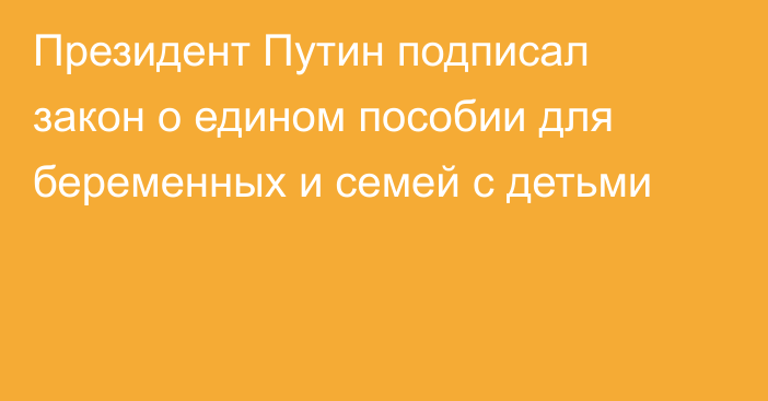 Президент Путин подписал закон о едином пособии для беременных и семей с детьми