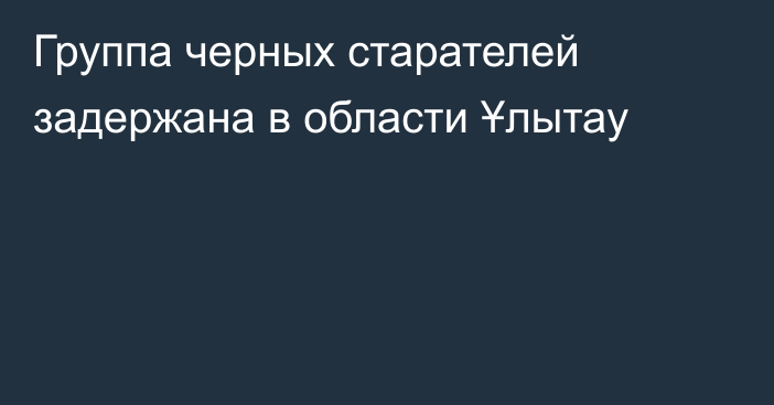 Группа черных старателей задержана в области Ұлытау