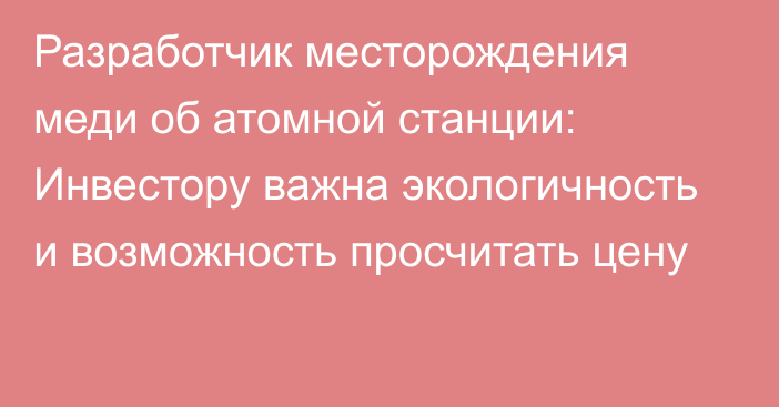 Разработчик месторождения меди об атомной станции: Инвестору важна экологичность и возможность просчитать цену