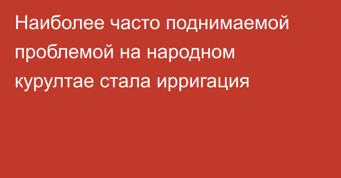 Наиболее часто поднимаемой проблемой на народном курултае стала ирригация