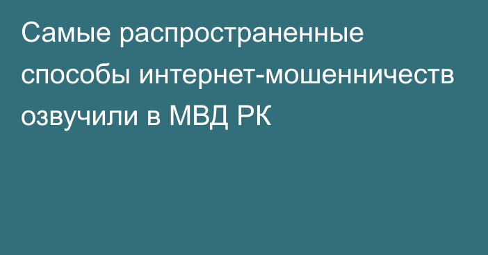 Самые распространенные способы интернет-мошенничеств озвучили в МВД РК