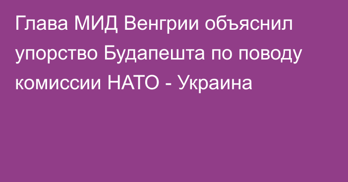 Глава МИД Венгрии объяснил упорство Будапешта по поводу комиссии НАТО - Украина