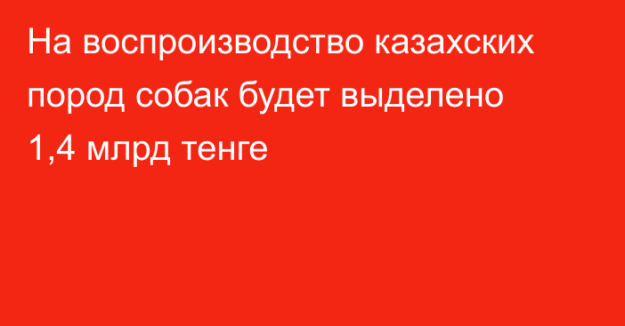 На воспроизводство казахских пород собак будет выделено 1,4 млрд тенге