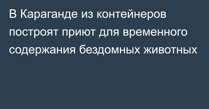 В Караганде из контейнеров построят приют для временного содержания бездомных животных