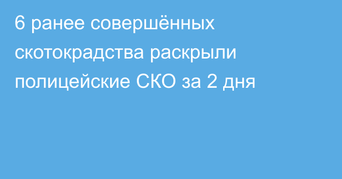 6 ранее совершённых скотокрадства раскрыли полицейские СКО за 2 дня