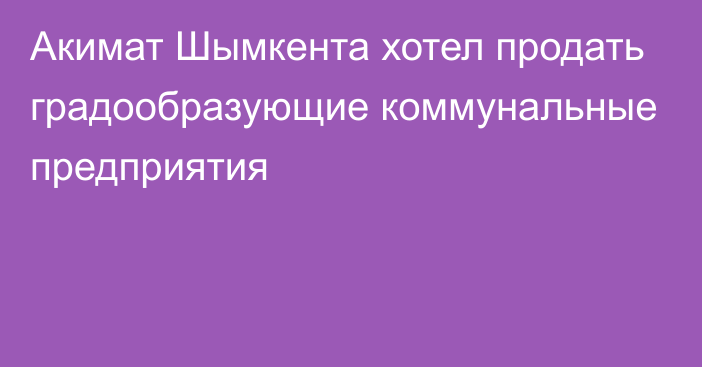 Акимат Шымкента хотел продать градообразующие коммунальные предприятия