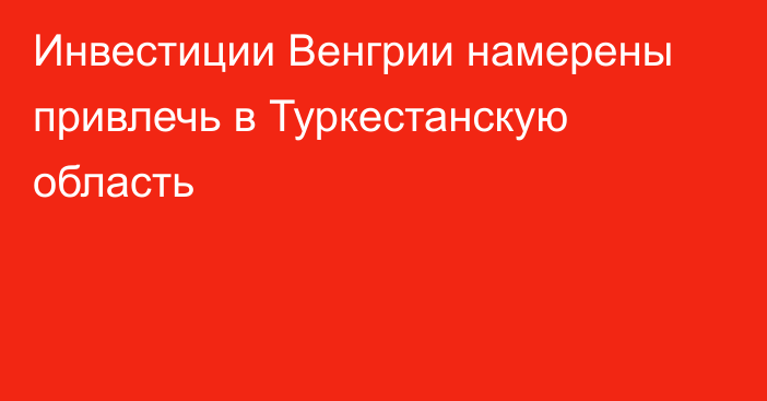 Инвестиции Венгрии намерены привлечь в Туркестанскую область