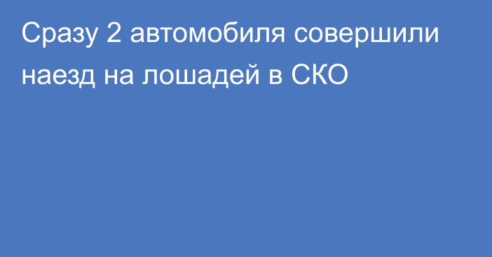 Сразу 2 автомобиля совершили наезд на лошадей в СКО