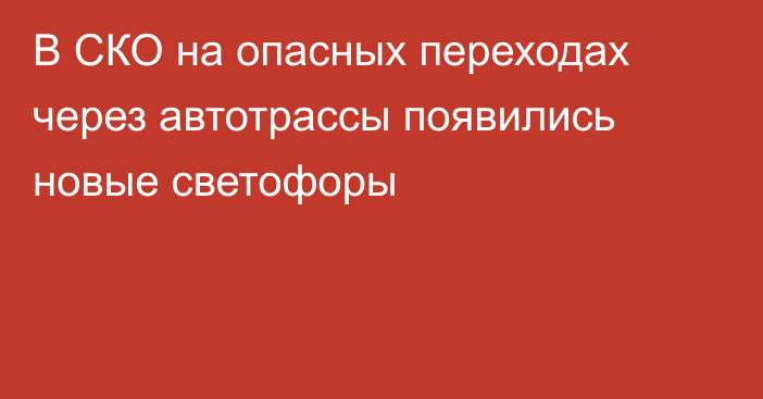 В СКО на опасных переходах через автотрассы появились новые светофоры