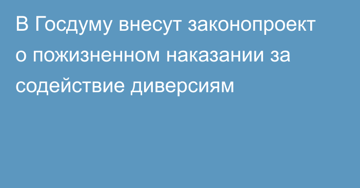 В Госдуму внесут законопроект о пожизненном наказании за содействие диверсиям