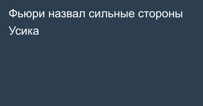 Фьюри назвал сильные стороны Усика