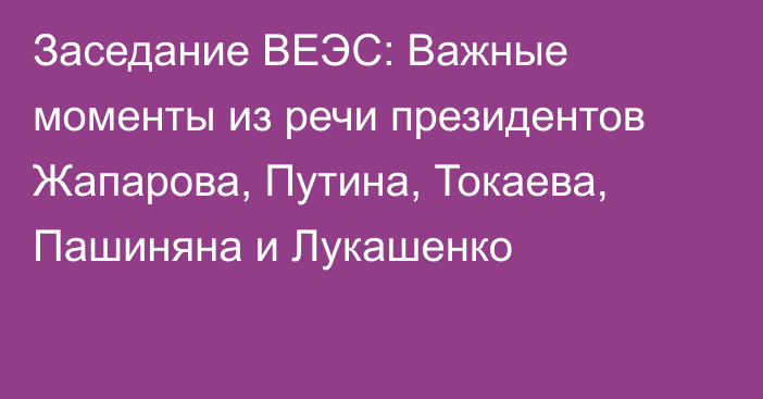 Заседание ВЕЭС: Важные моменты из речи президентов Жапарова, Путина, Токаева, Пашиняна и Лукашенко