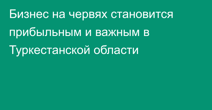 Бизнес на червях становится прибыльным и важным в Туркестанской области