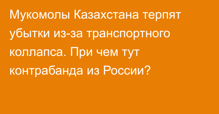 Мукомолы Казахстана терпят убытки из-за транспортного коллапса. При чем тут контрабанда из России?  