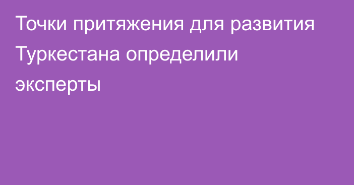 Точки притяжения для развития Туркестана определили эксперты