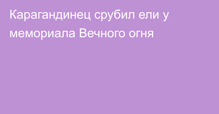 Карагандинец срубил ели у мемориала Вечного огня