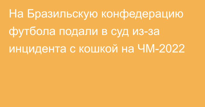 На Бразильскую конфедерацию футбола подали в суд из-за инцидента с кошкой на ЧМ-2022