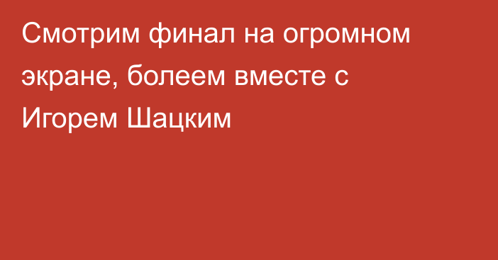 Смотрим финал на огромном экране, болеем вместе с Игорем Шацким