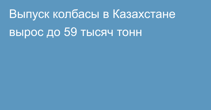 Выпуск колбасы в Казахстане вырос до 59 тысяч тонн