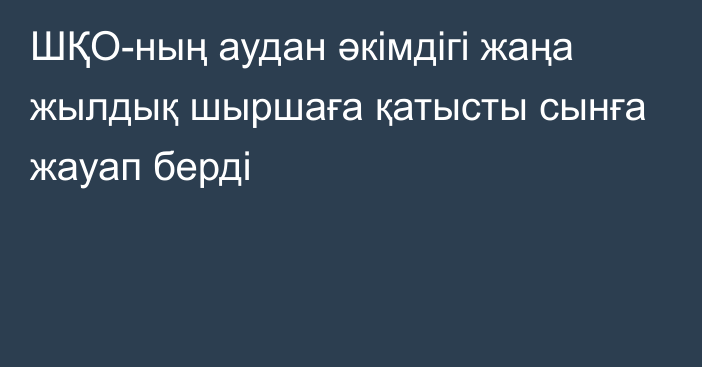 ШҚО-ның аудан әкімдігі жаңа жылдық шыршаға қатысты сынға жауап берді