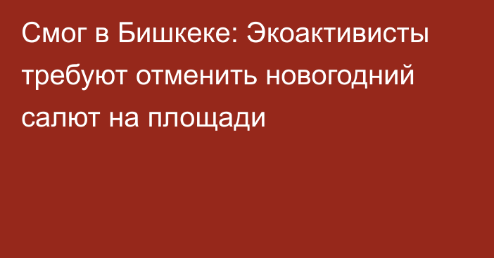 Смог в Бишкеке: Экоактивисты требуют отменить новогодний салют на площади