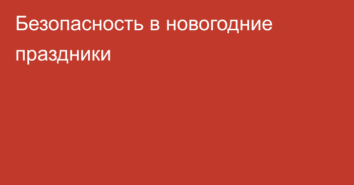 Безопасность в новогодние праздники