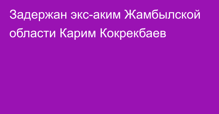 Задержан экс-аким Жамбылской области Карим Кокрекбаев