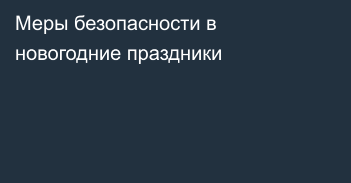 Меры безопасности в новогодние праздники