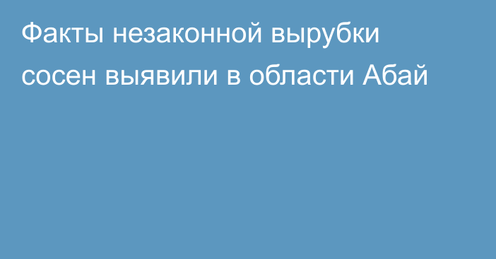 Факты незаконной вырубки сосен выявили в области Абай