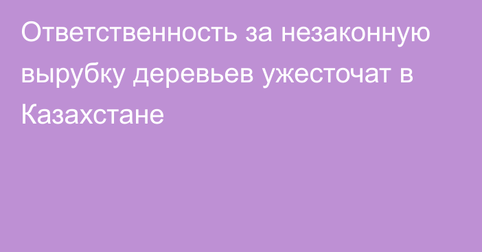 Ответственность за незаконную вырубку деревьев ужесточат в Казахстане